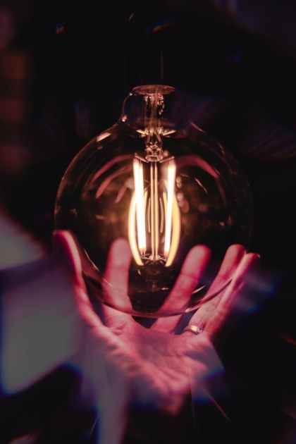 close up photo of person holding bulb